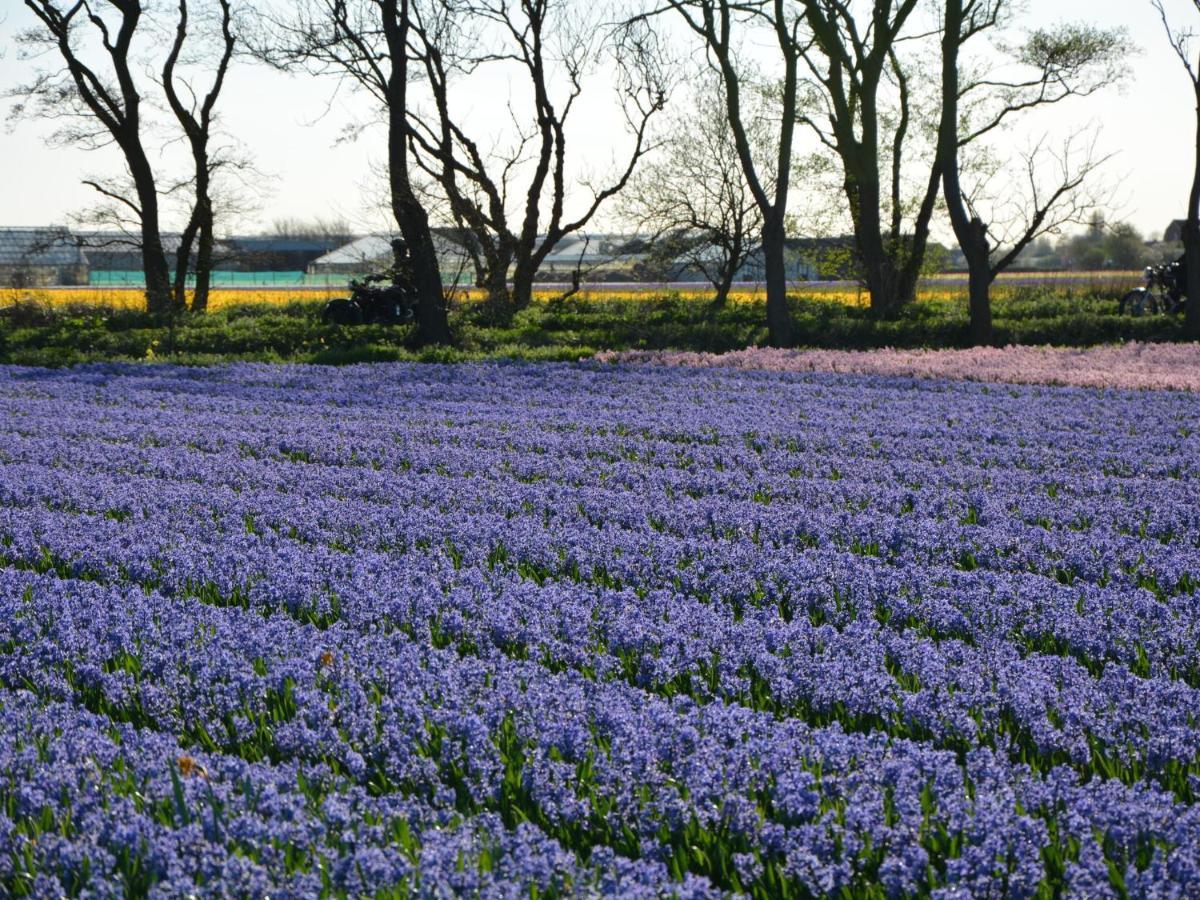 Cosy Holiday Home In Noordwijkerhout Near Lake Bagian luar foto